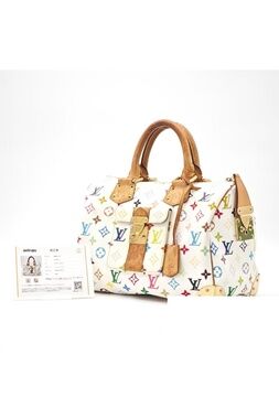 Louis Vuitton Handbag Canvas